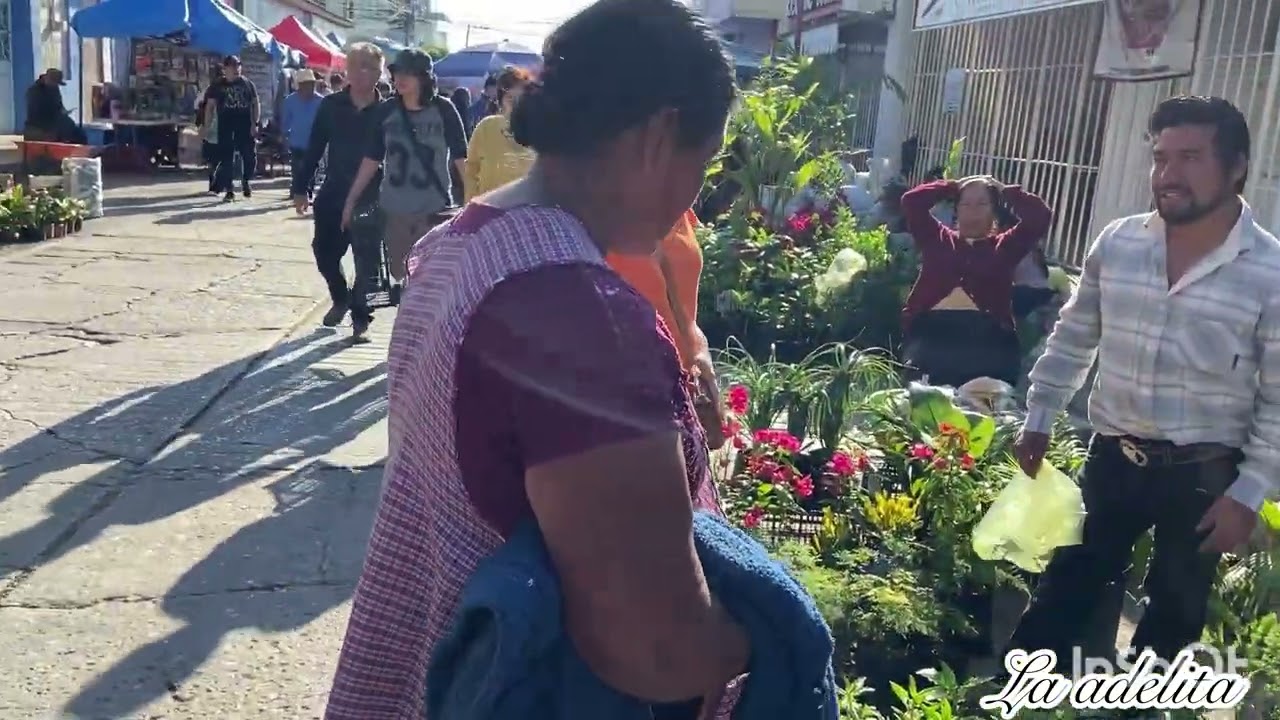 🌼Visite mi vivero favorito🌿￼Y hay muchísimas plantas nuevas 🌱😍