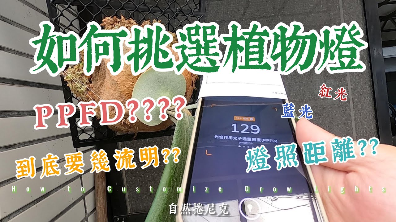 如何挑選植物燈? PPFD Lux 藍光 紅光 照射距離要多少??  快瘋惹 帶你快速了解 #Photone