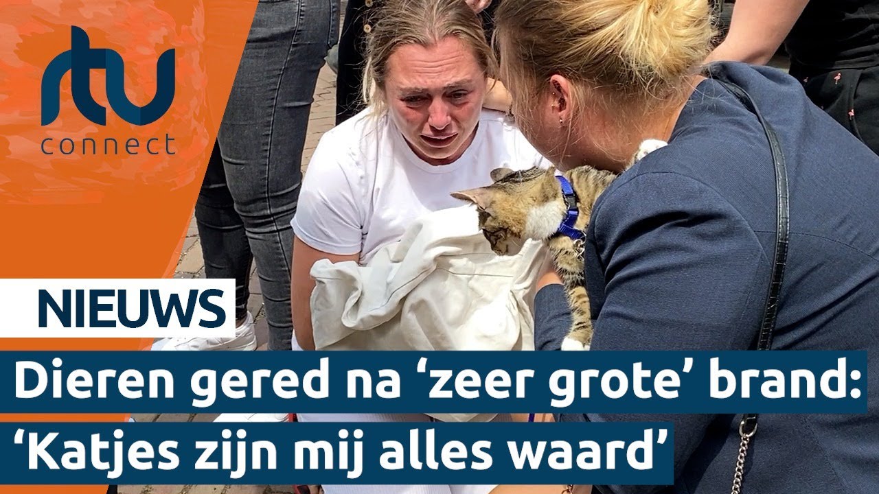 Huisdieren gered bij grote brand in Presikhaaf