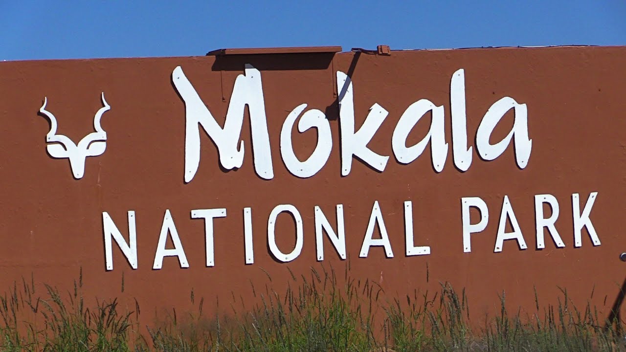 Have you ever been to Mokala National Park