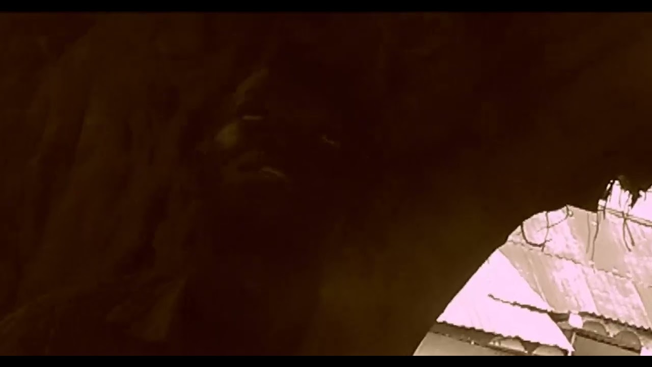 Akpanya life. Asesawa official video