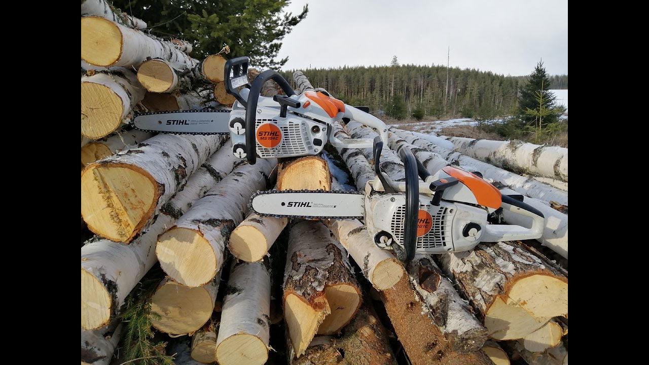 Sahatesti Stihl MS194 vs. MS201