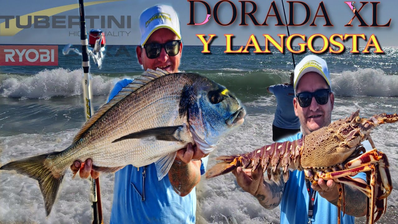 💥 BOOOM Dorada XL langosta,a la plancha⁉️ pesca de Surfcasting día redondo sageraooooooo ‼️