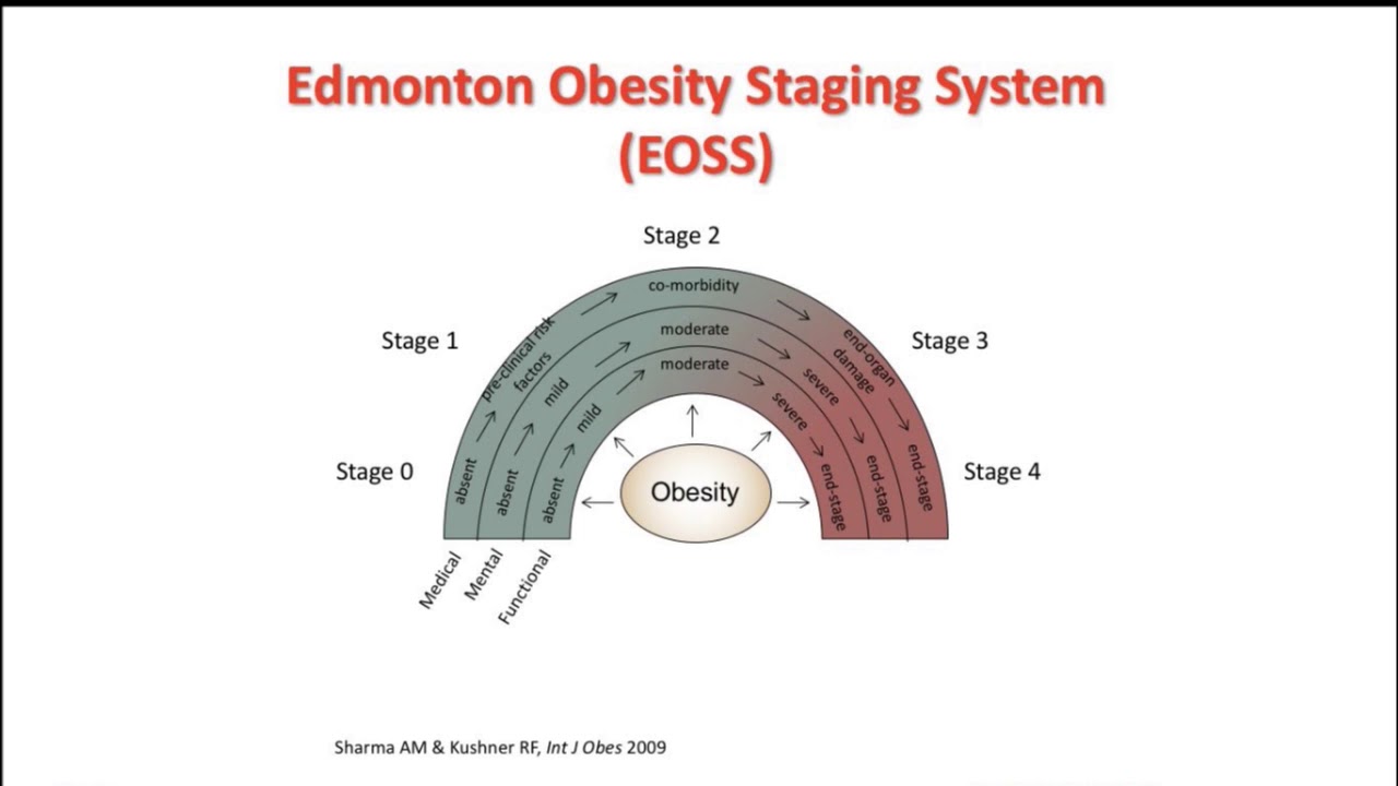 2017: Obesity is a Chronic Disease-Understanding the Pathophysiology, Evaluating the Patient