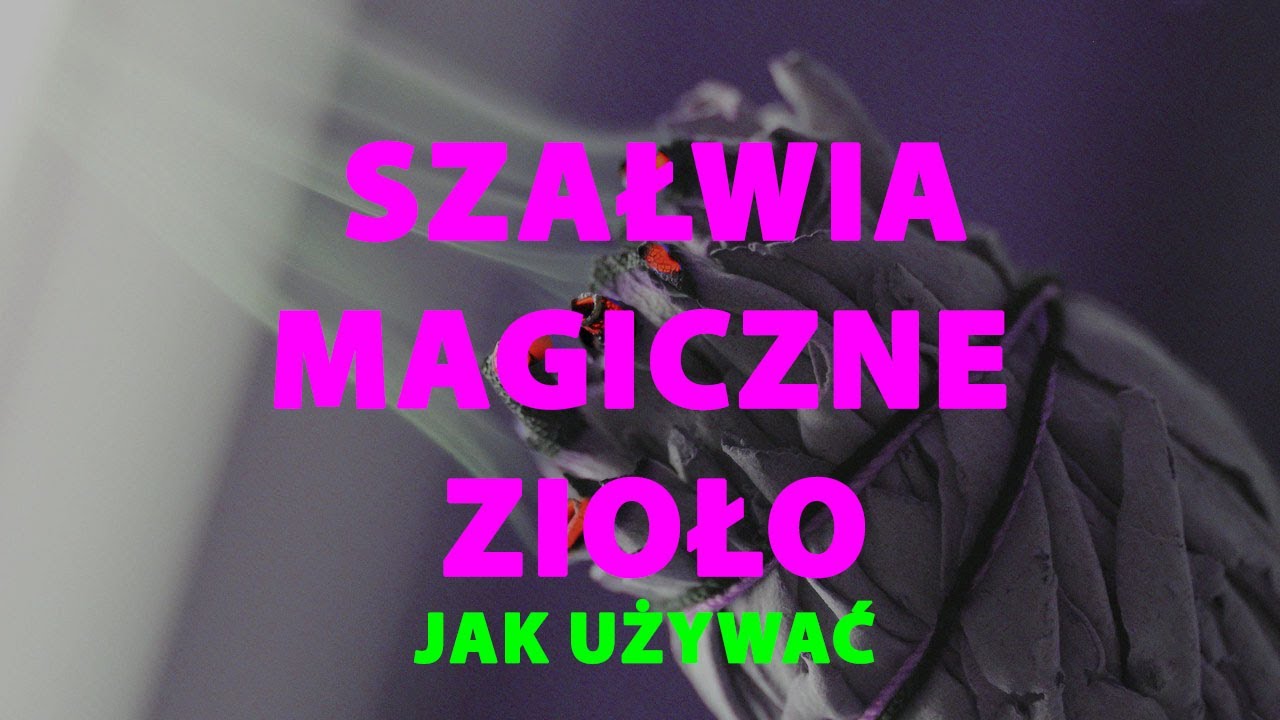 Szałwia - magia zi&oacute;ł. Jak używać. #bramamagii #zioła #magiadomowa #rytuały #oczyszczanie