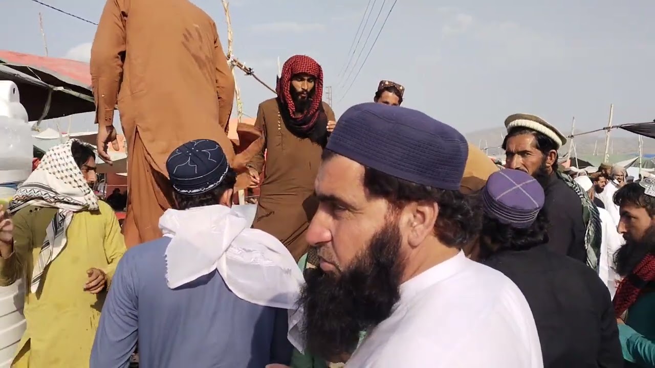 تبلیغی اجتماع میں حدمت میں براف تقسیم کرنے مصروف ہے 