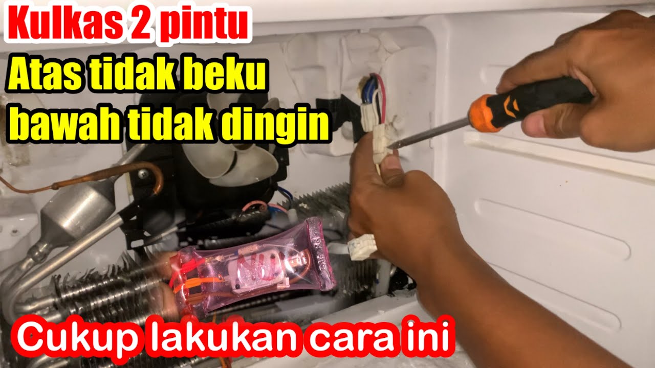 GAK PERLU PUSING KULKAS 2 PINTU ATAS TIDAK BEKU BAHAH TIDAH DINGIN