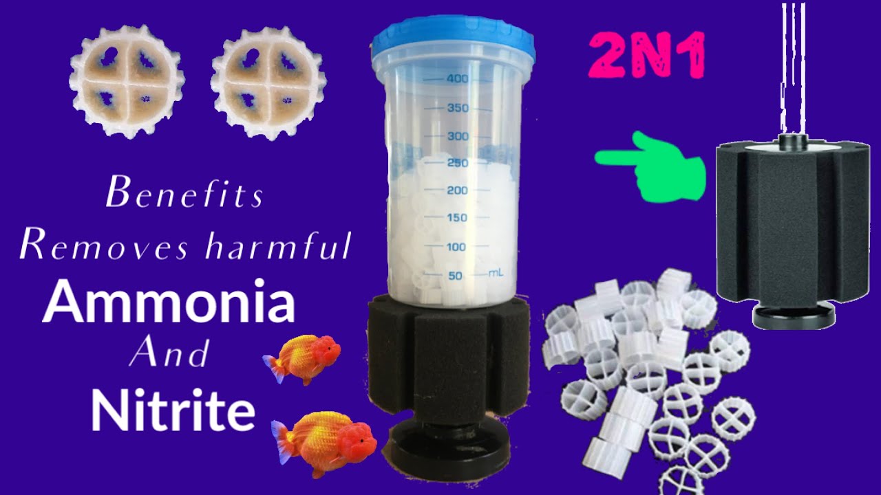 ADDING K1 FILTER MEDIA ON BIO SPONGE FILTER