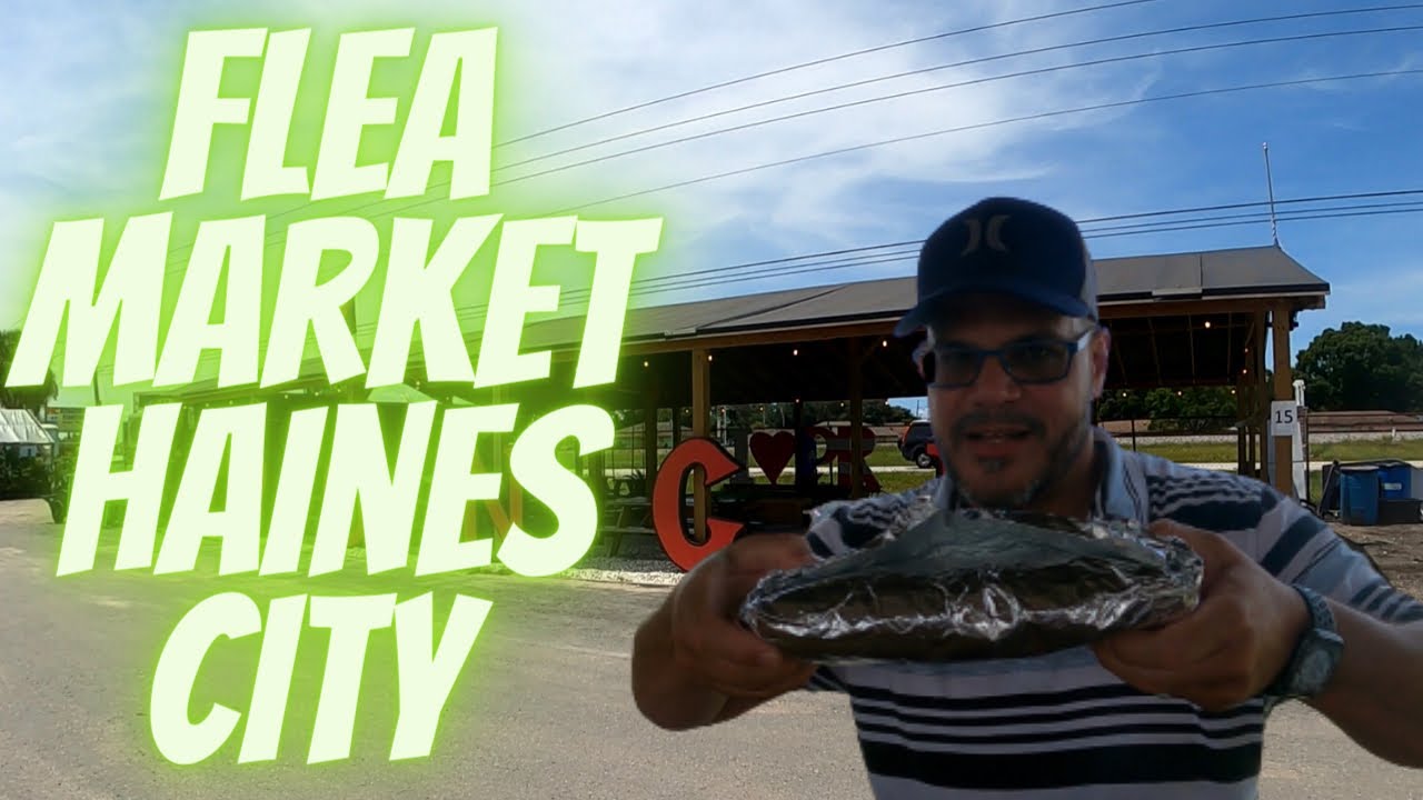 Fuimos al Flea Market de Haines City,FL