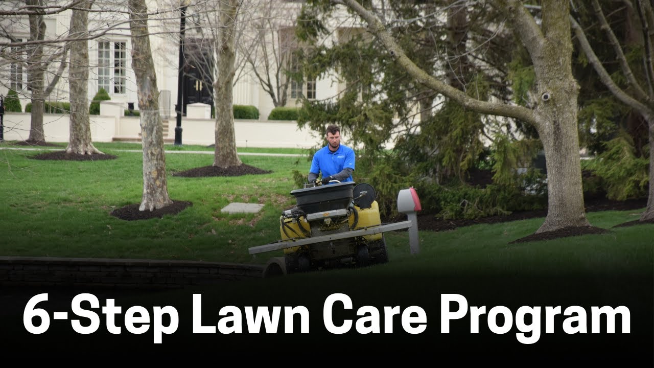 Calvin Landscape's 6-Step Lawn Care Treatment Program