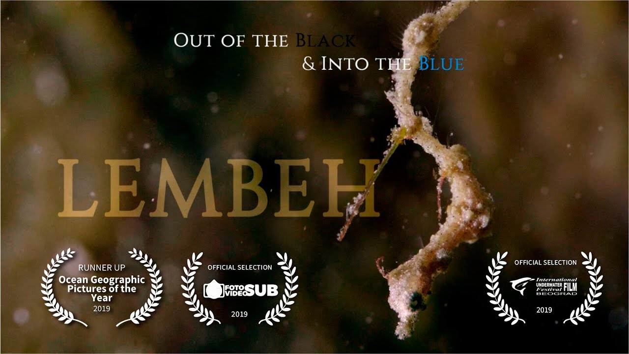 Chapter #11: LEMBEH. Out of the Black & Into the Blue | NA-GH5 | Nauticam Housing | Keldan Lights
