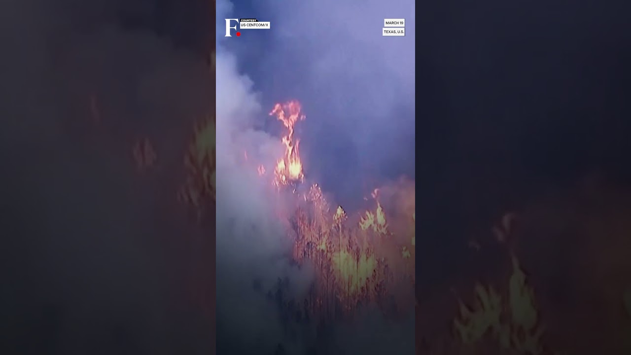 US: 14 Wildfires Rage Across Texas State, 4 Dead | Subscribe to Firstpost | N18G