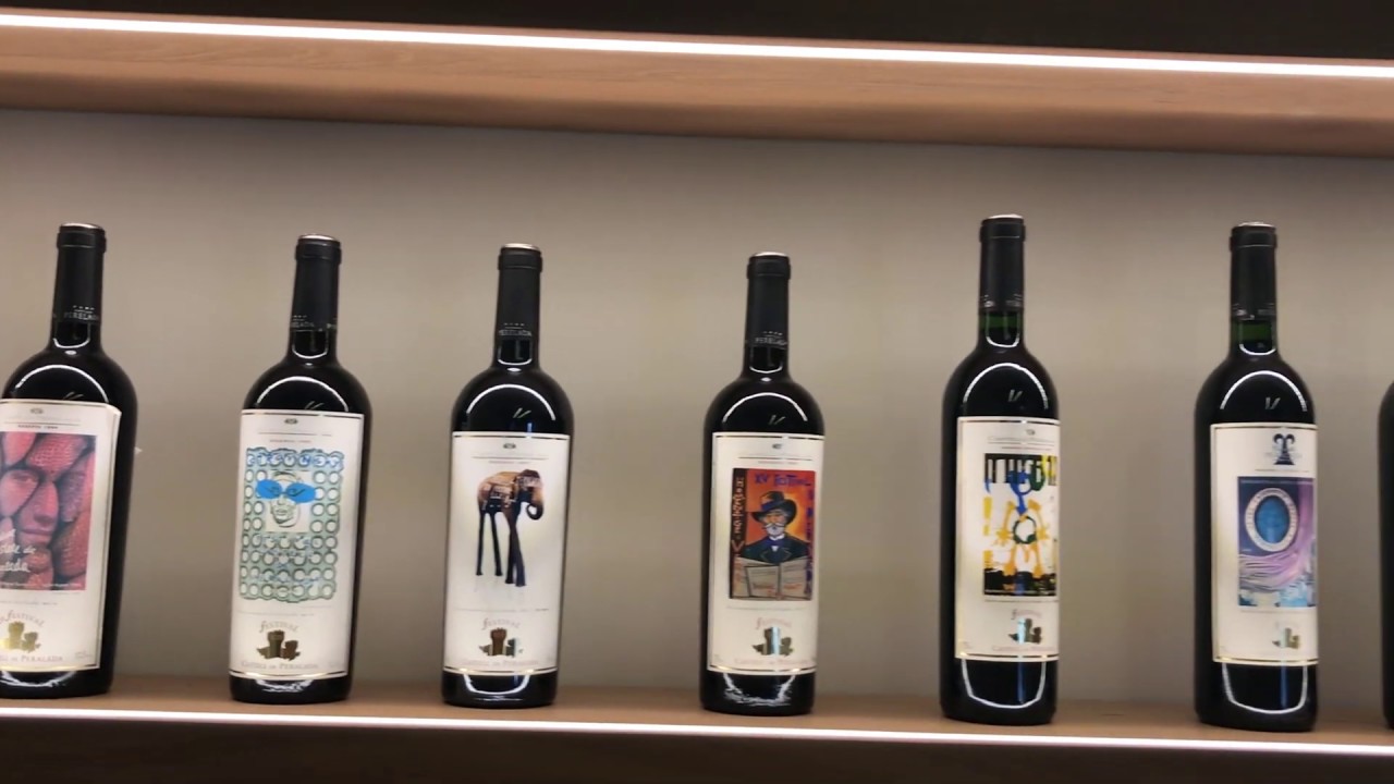 Perelada museum, vineyards and wine!🍷🍇