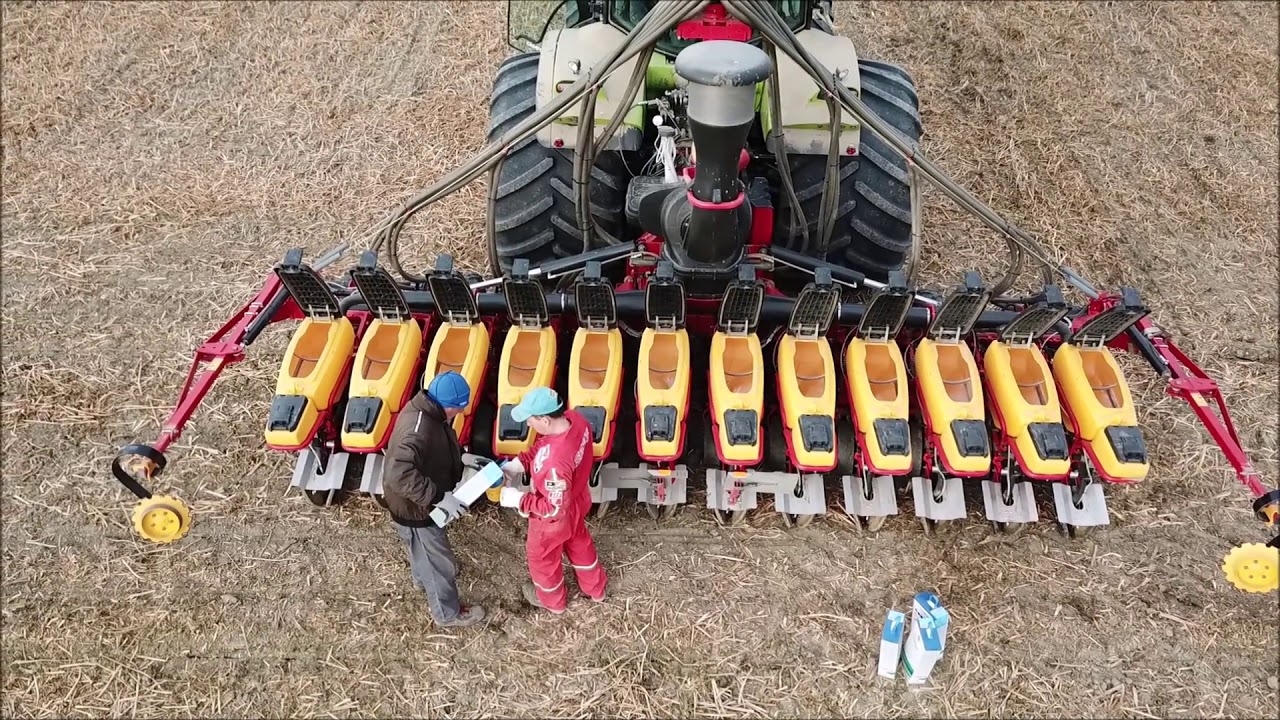 Semina diretta su cover crop di barbabietole da zucchero 2020