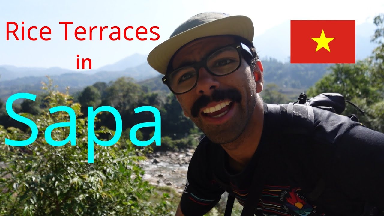 Rice Terraces in Sapa!
