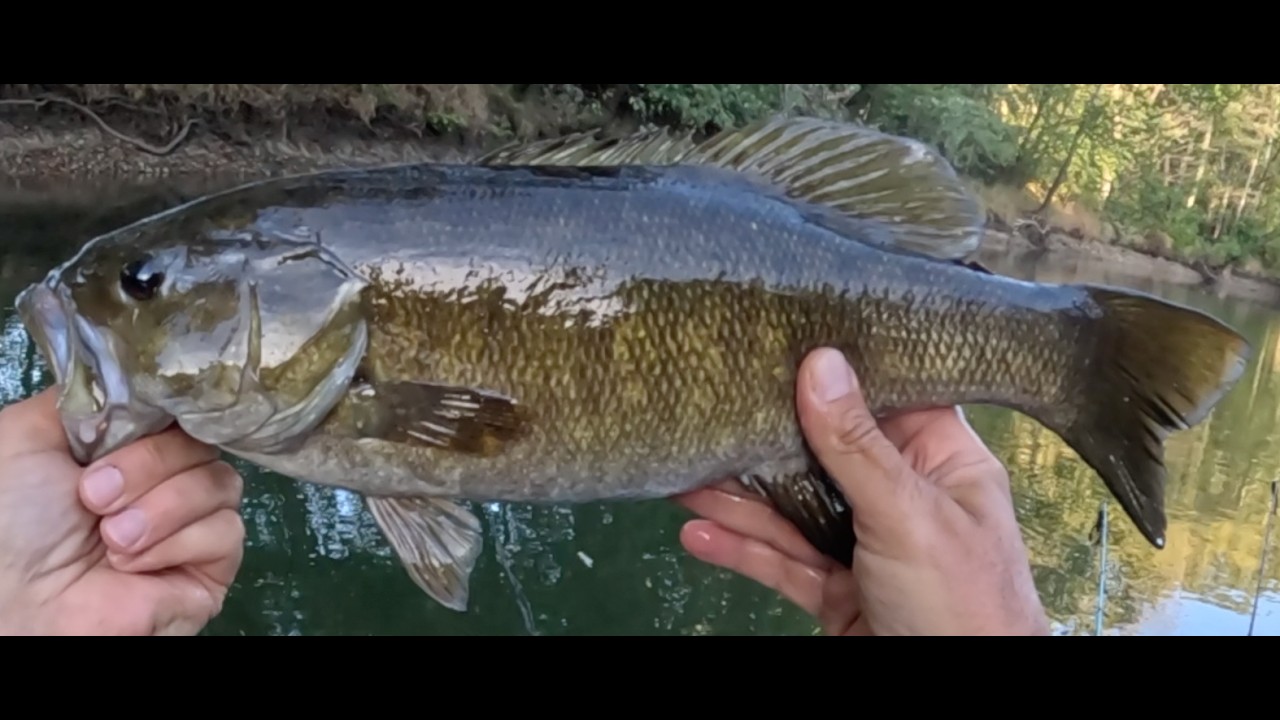 Good day on the river despite some camera issues, the best were a 18.25