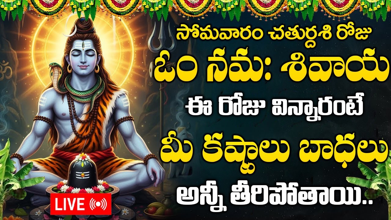 ఓం నమః శివాయ మంత్రం వింటే పరమేశ్వరుడు మీ ఇంట్లో తాండవిస్తాడు | Om Namah Shivaya | Lord Shiva Mantra