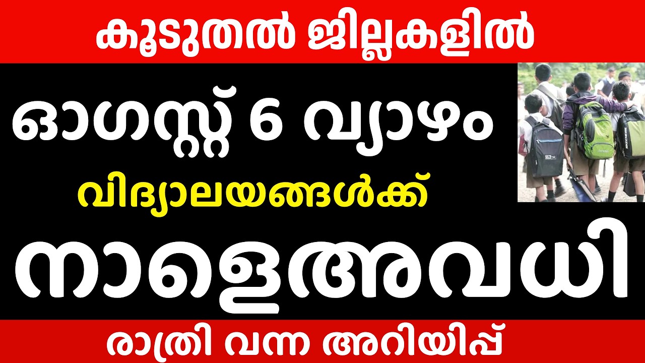School Holiday Declared for Tomorrow, Thursday, August 6 | Kerala News #rainalert #holiday