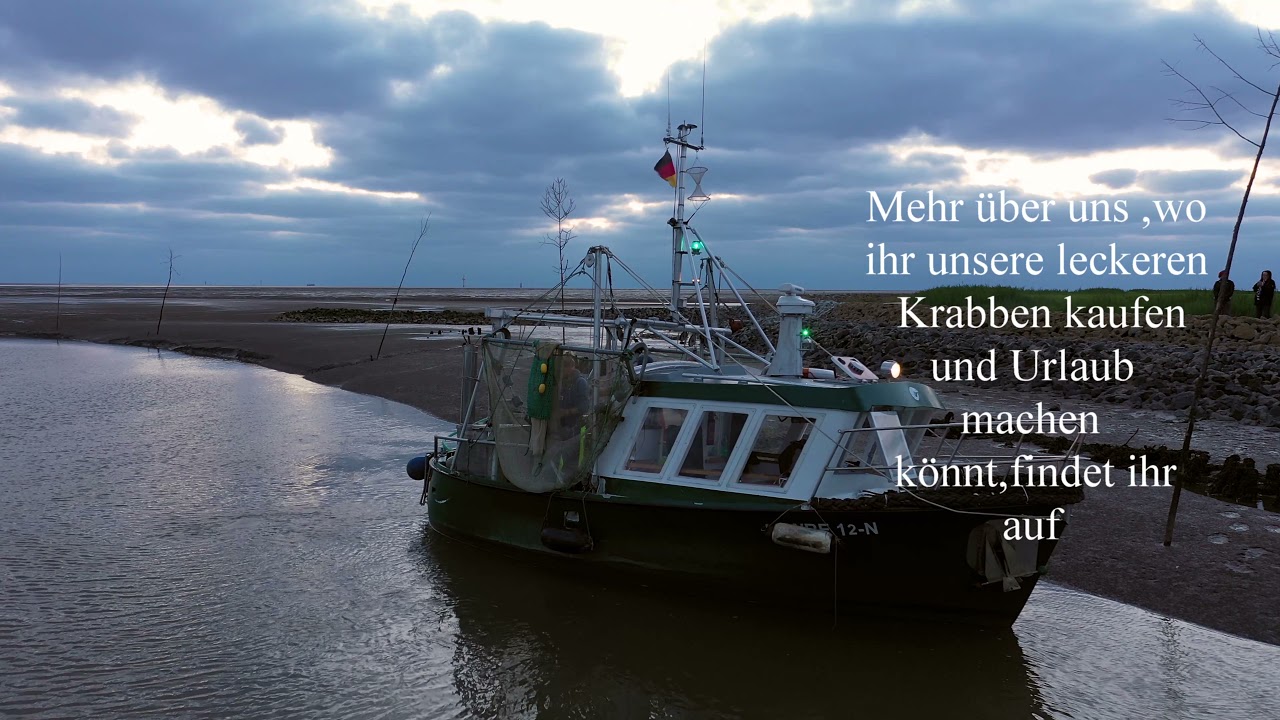 Krabben fangen Nordsee Wattenfischer in Wremen