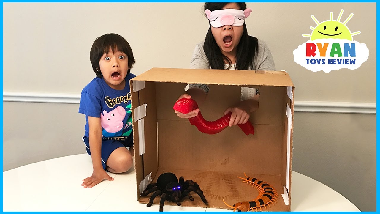 What's in the Box Challenge Parent vs Kid with Ryan ToysReview