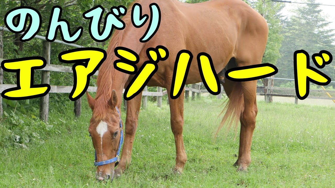 黄金世代最強のマイラー【エアジハード】～のんびりした日常風景～