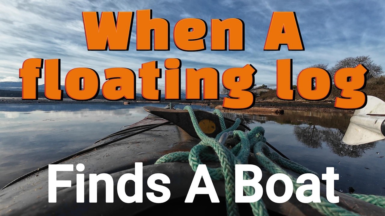 When A Floating Log Finds A boat