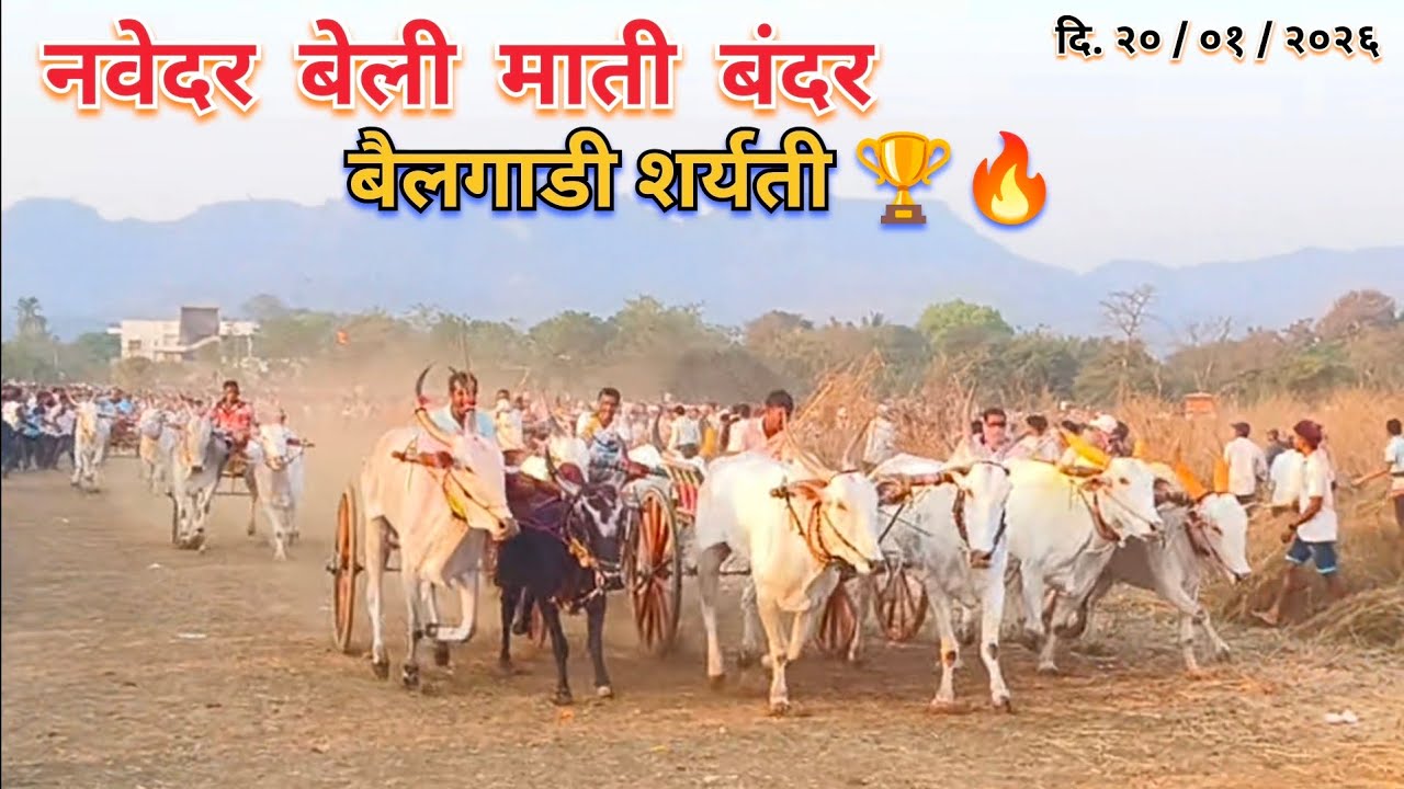 नवेदर बेली माती बंदर बैलगाडी शर्यती 🏆🔥 | दि. 20/01/2026 | #बैलगाडा #bakasur #mathur1001 #sonya5050 