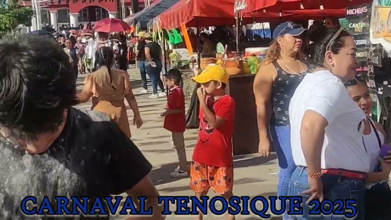 carnaval Tenosique Tabasco 2025..zona de micheladas 🤪🤪