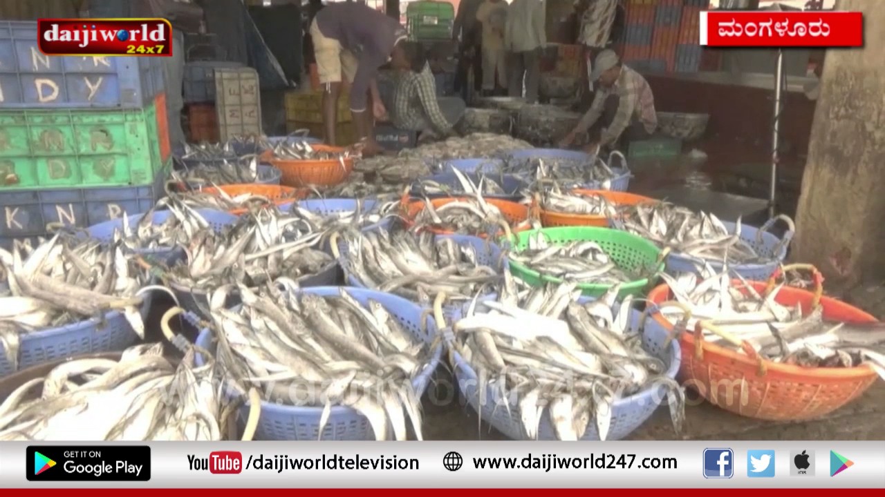 Mangaluru: Fishing ban to begin from June 1, to last till July end│Daijiworld Television