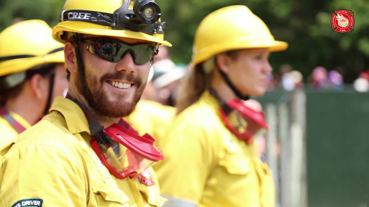 VWS Open Day 2014