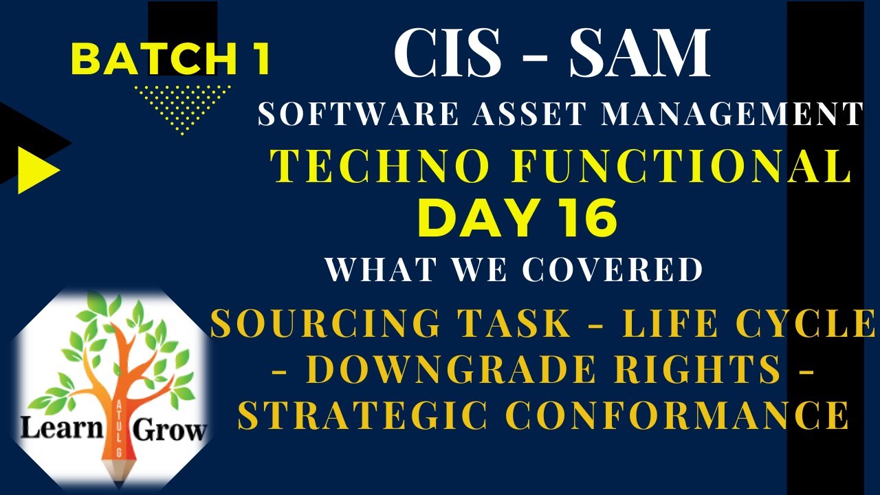 SAM - Day 16 - Sourcing Task - Life Cycle - Downgrade Rights - Strategic Conformance