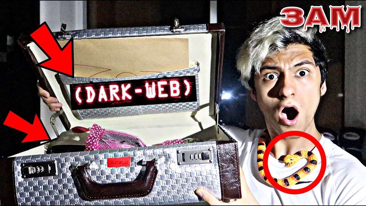 DO NOT OPEN DARK WEB MYSTERY BOX!! AT 3AM!! *OMG SO CREEPY*