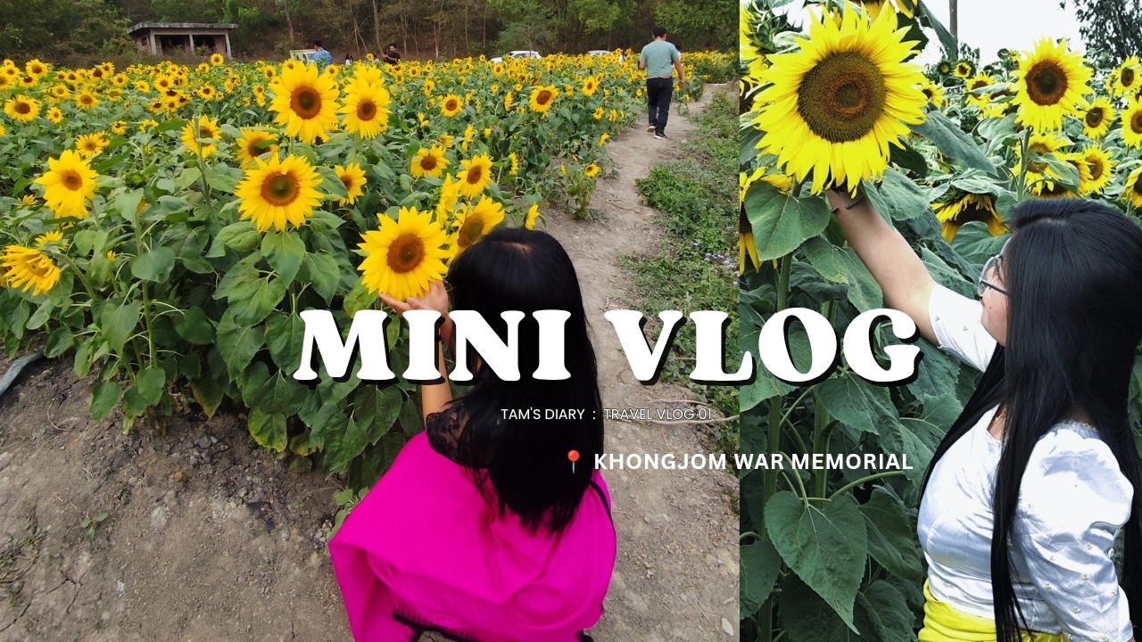 [Vlog] Khongjom War Memorial's Sunflowers🔥🌻 #vlog #travel #fypシ