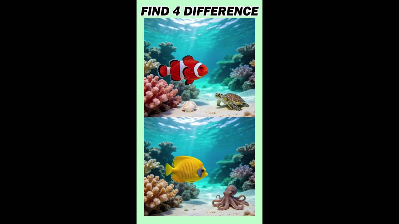 FIND DIFFERENCE | GAME