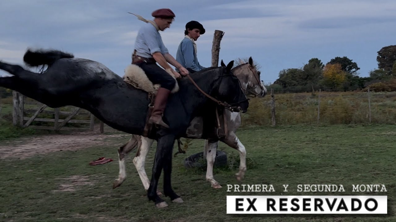 ⚠️ PRIMERA Y SEGUNDA MONTA DEL EX RESERVADO ⚠️