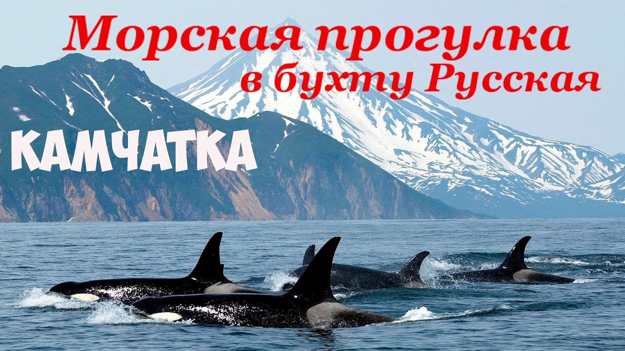 Морская прогулка в бухту Русская Камчатка