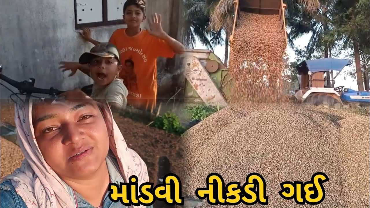 ફાઈનલી આજે માંડવી કાઢવા ડબ્બો આવી ગ્યો krishna pithiya vlog