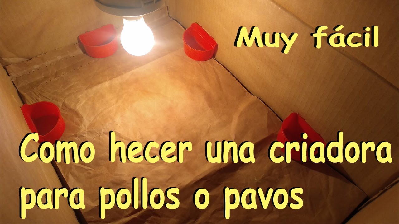 COMO HACER CRIADORA PARA AVES RECIEN NACIDAS pavitos o pollitos.