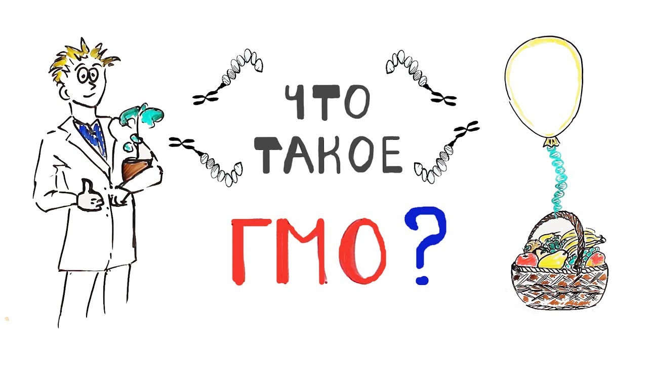 Что такое ГМО?