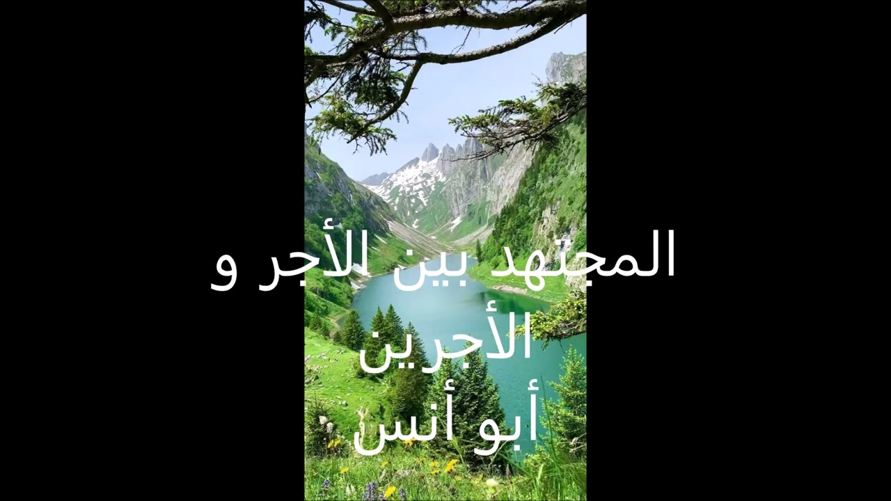 المجتهد بين الأجر والأجرين