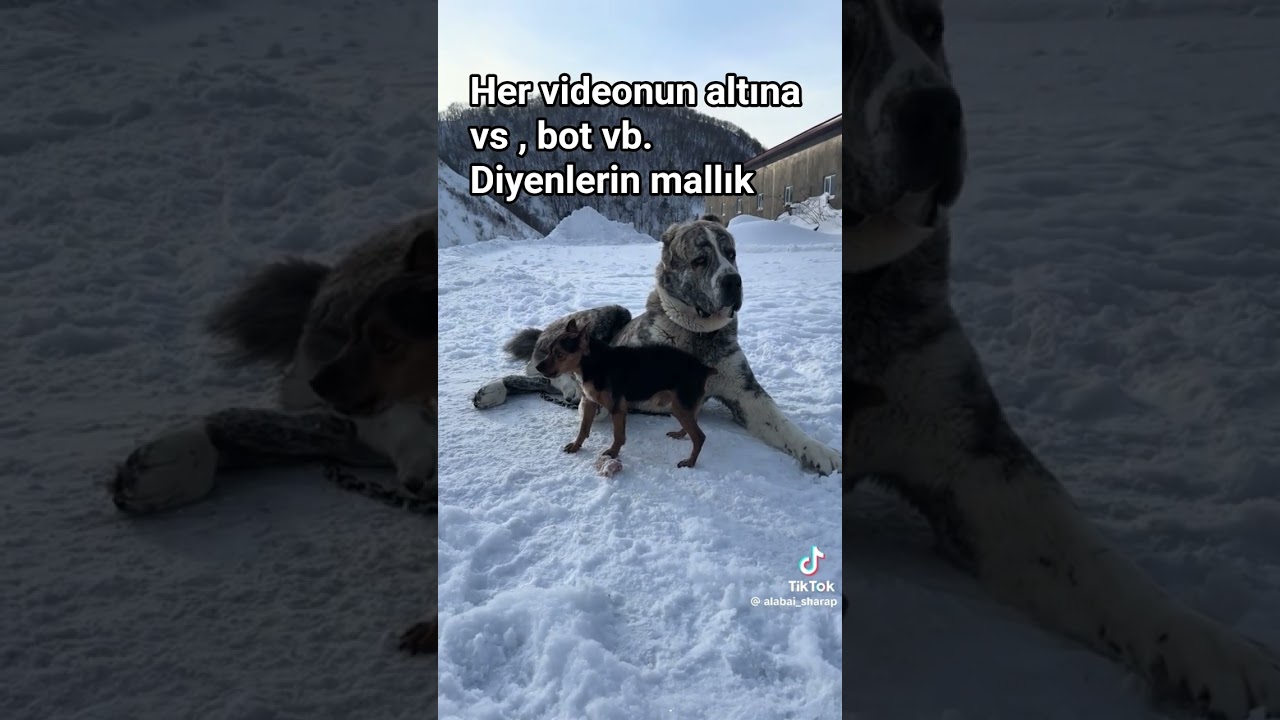 komple süzme mallar