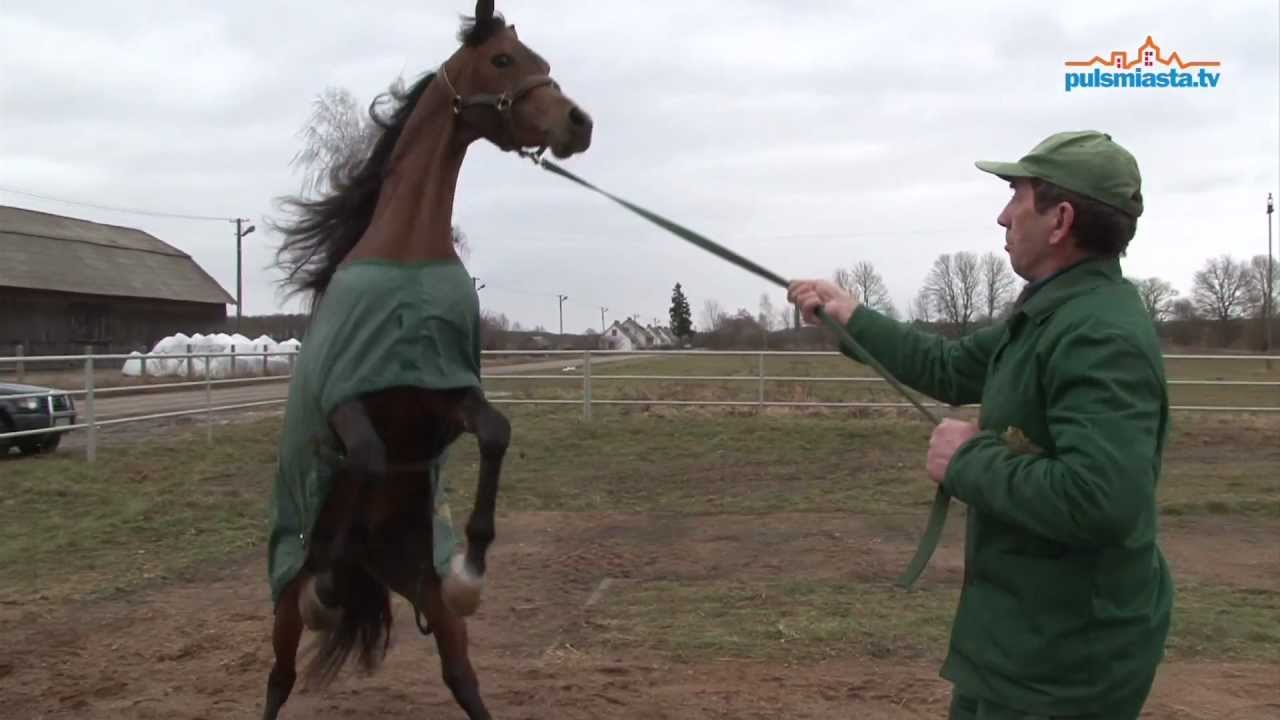 Piękność w Janowie