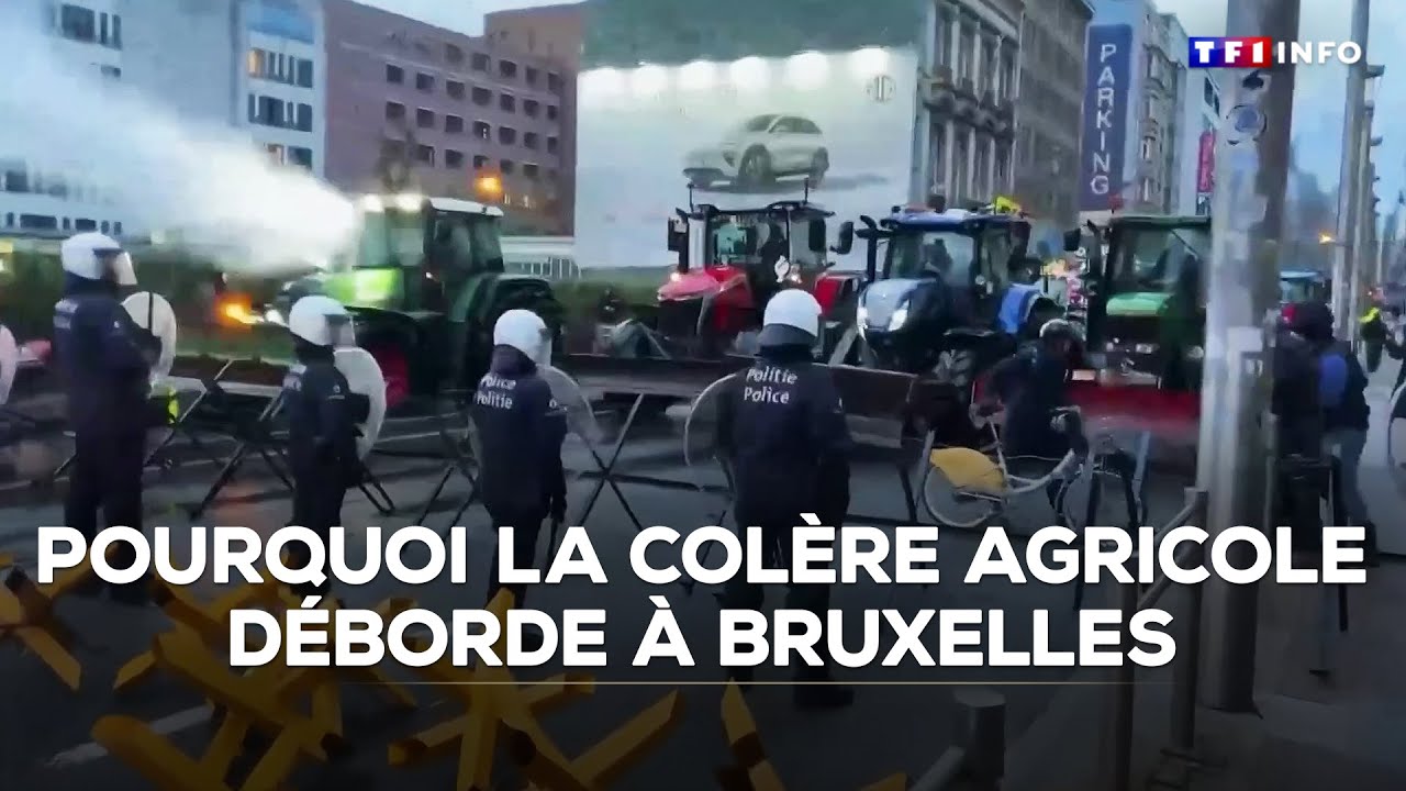 La colère agricole déborde à Bruxelles ｜TF1 INFO