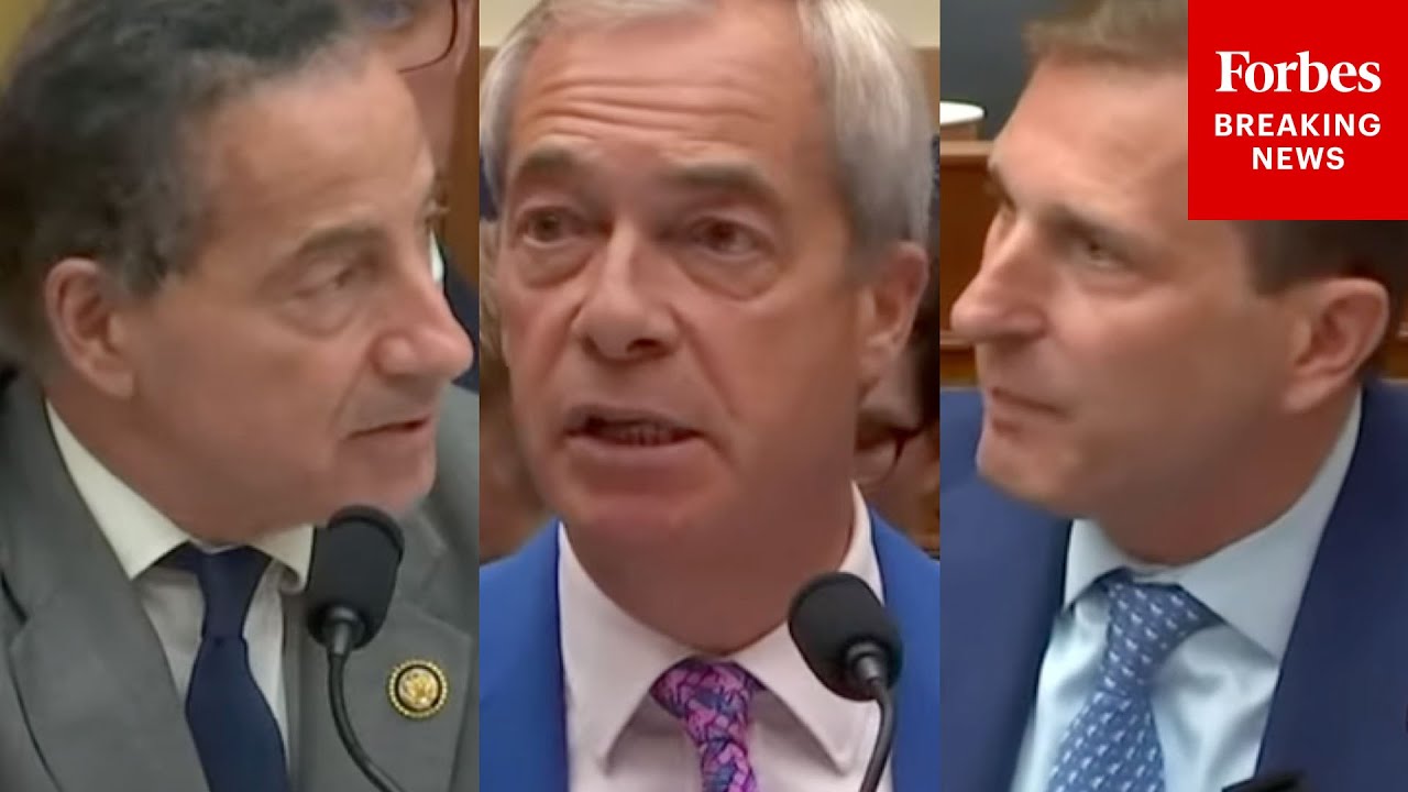 WATCH: Jamie Raskin 'Plays' Nigel Farage Under Questioning From Dan Goldman