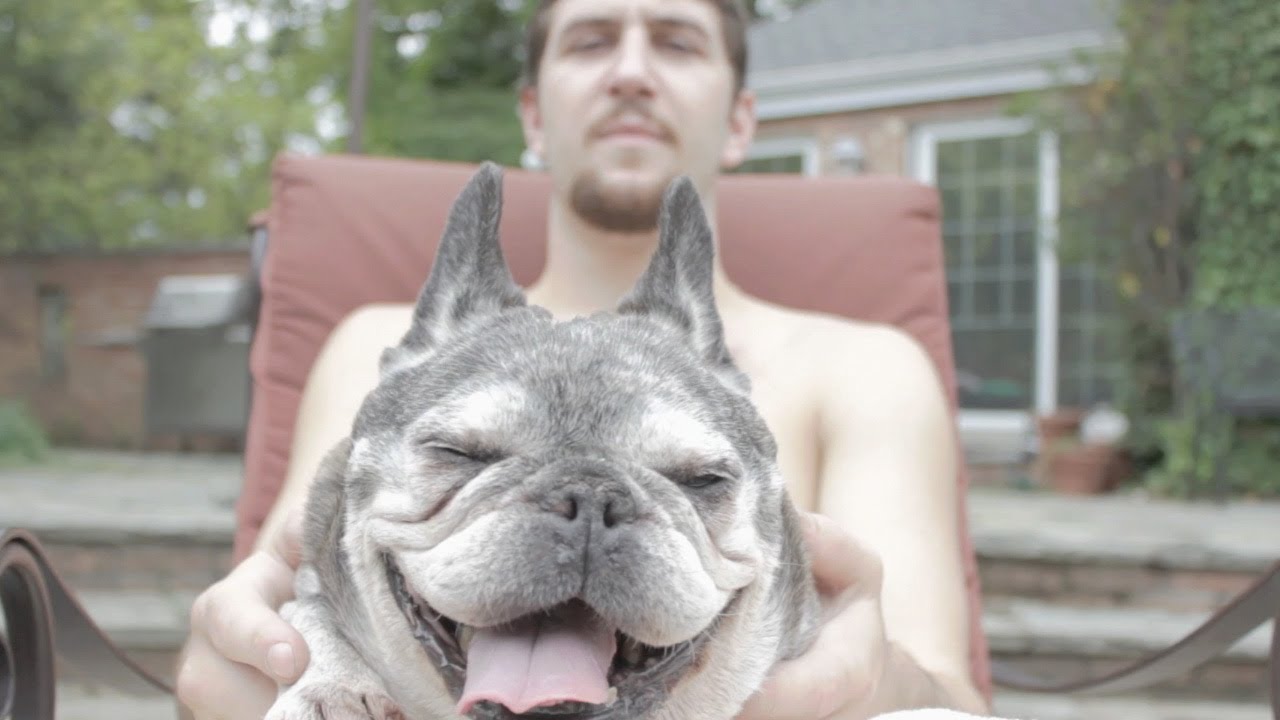 Tubby (FND Dailies)