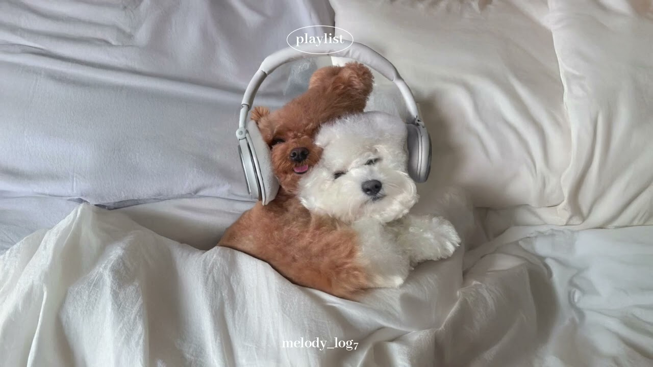 𝙥𝙡𝙖𝙮𝙡𝙞𝙨𝙩 l 로맨틱 빈티지 재즈🌹🌙 soft & hazy jazz pop, 살짝 스웨이 💫🫧🎷