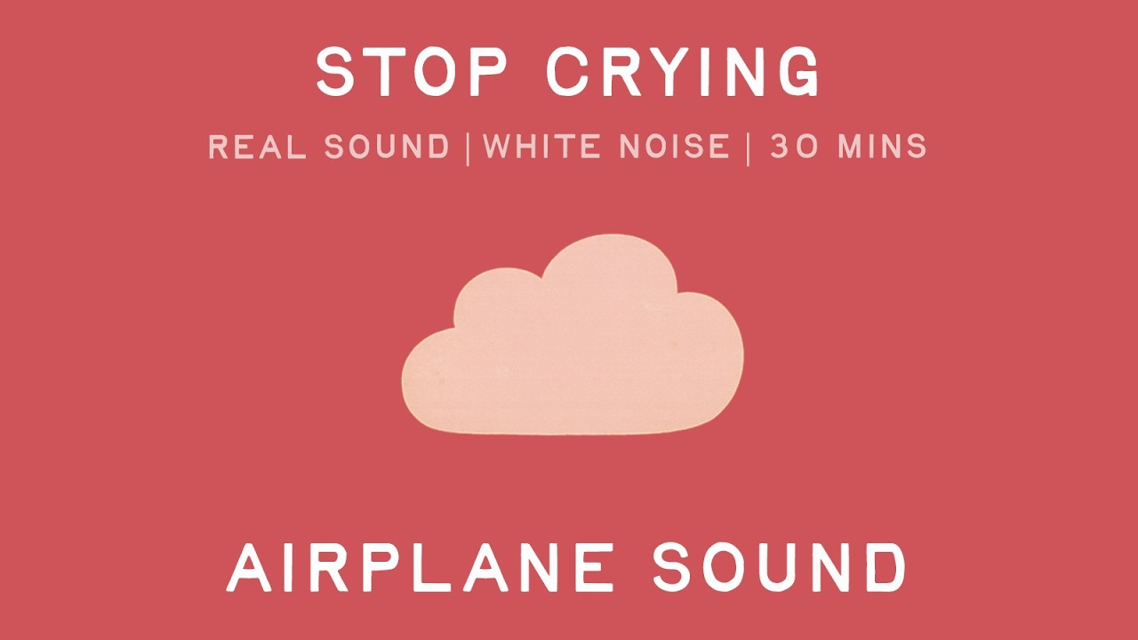 Airplane Sound for Crying Baby (Colic Relief White Noise) | 30 Minutes