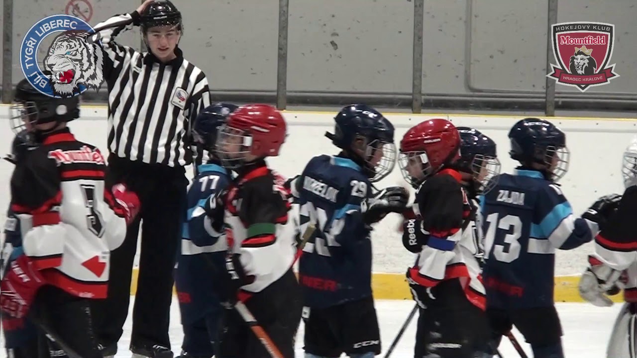 Bílí Tygři Liberec: ročník 2012 (26.1.2019)
