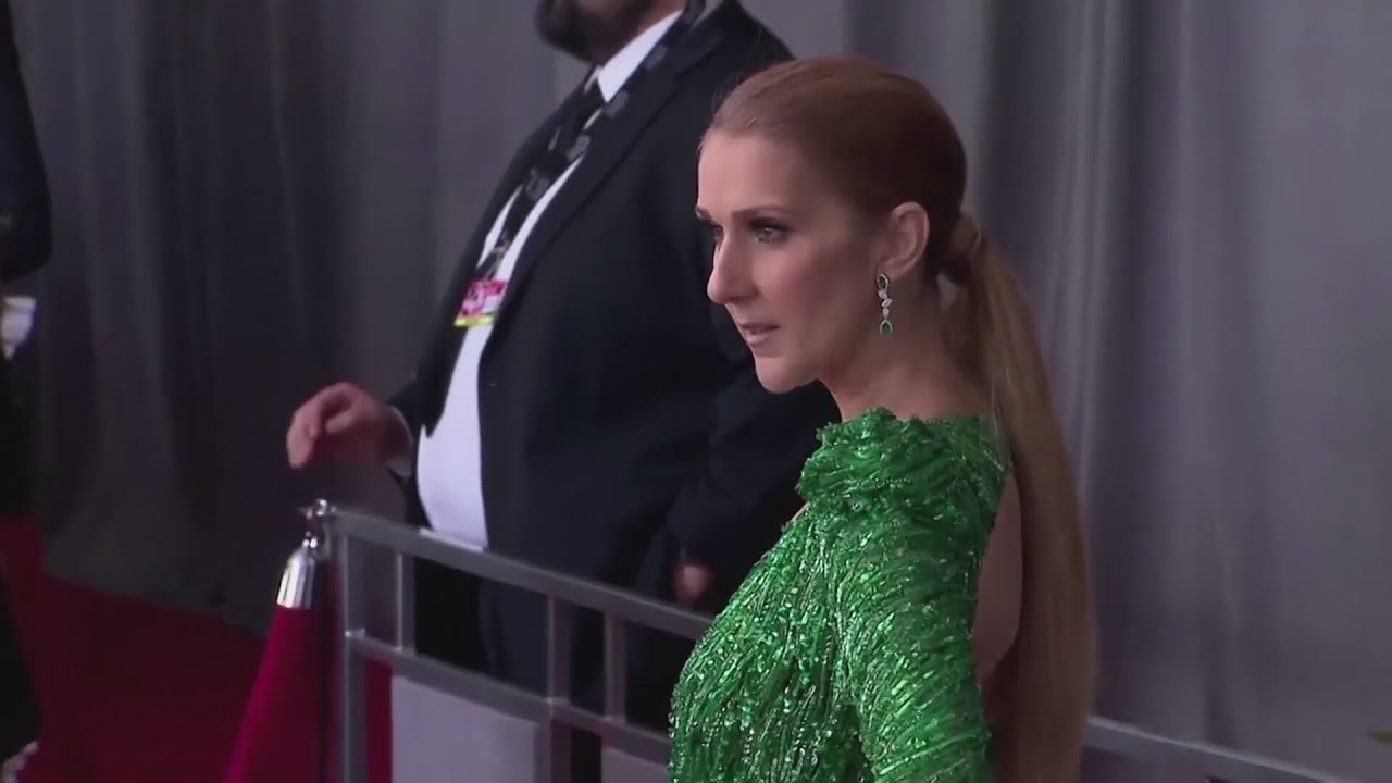 Celine Dion's donation to hospital in Aurora aims to help find cure for stiff person syndrome