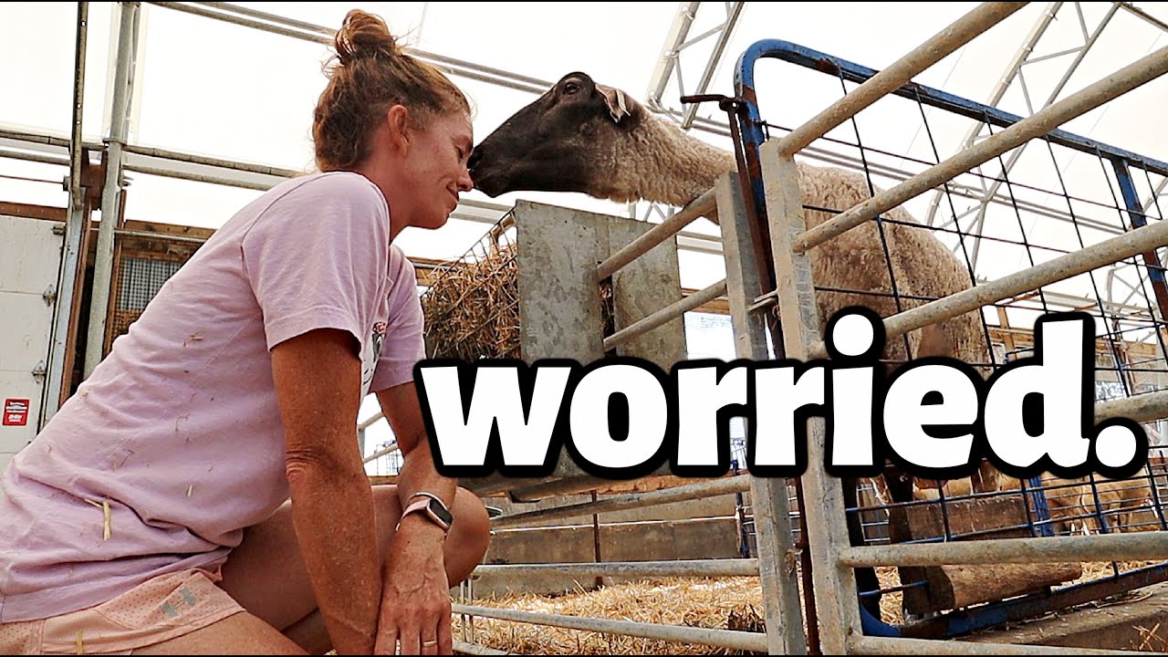 She's GOAT me worried🥺 | Vlog 485